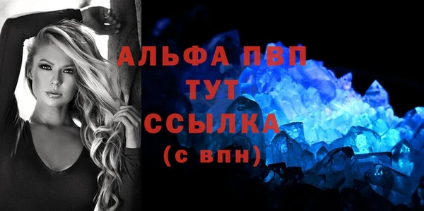 ПСИЛОЦИБИНОВЫЕ ГРИБЫ Елабуга