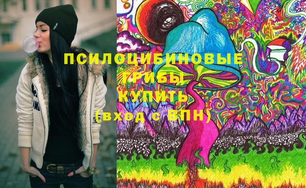 ПСИЛОЦИБИНОВЫЕ ГРИБЫ Шарыпово
